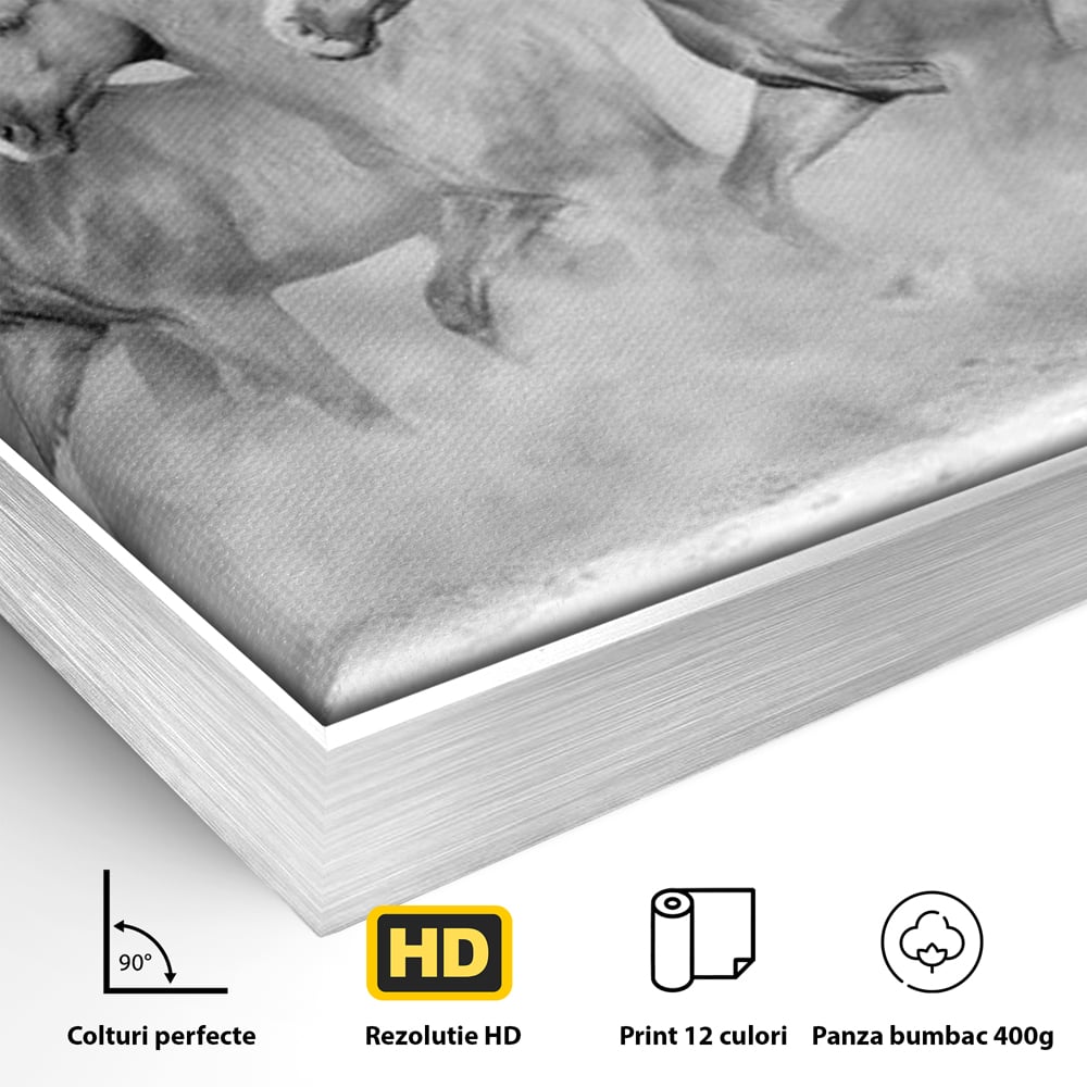 Tablou Canvas Premium, LuxCanva® M1348, Chemarea Instinctului, Alb si Negru, Libertate, Cai, Galop, Viteza, Praf, Grup, Miscare, Animal, Salbaticie, Birou, Living, Camera Copil