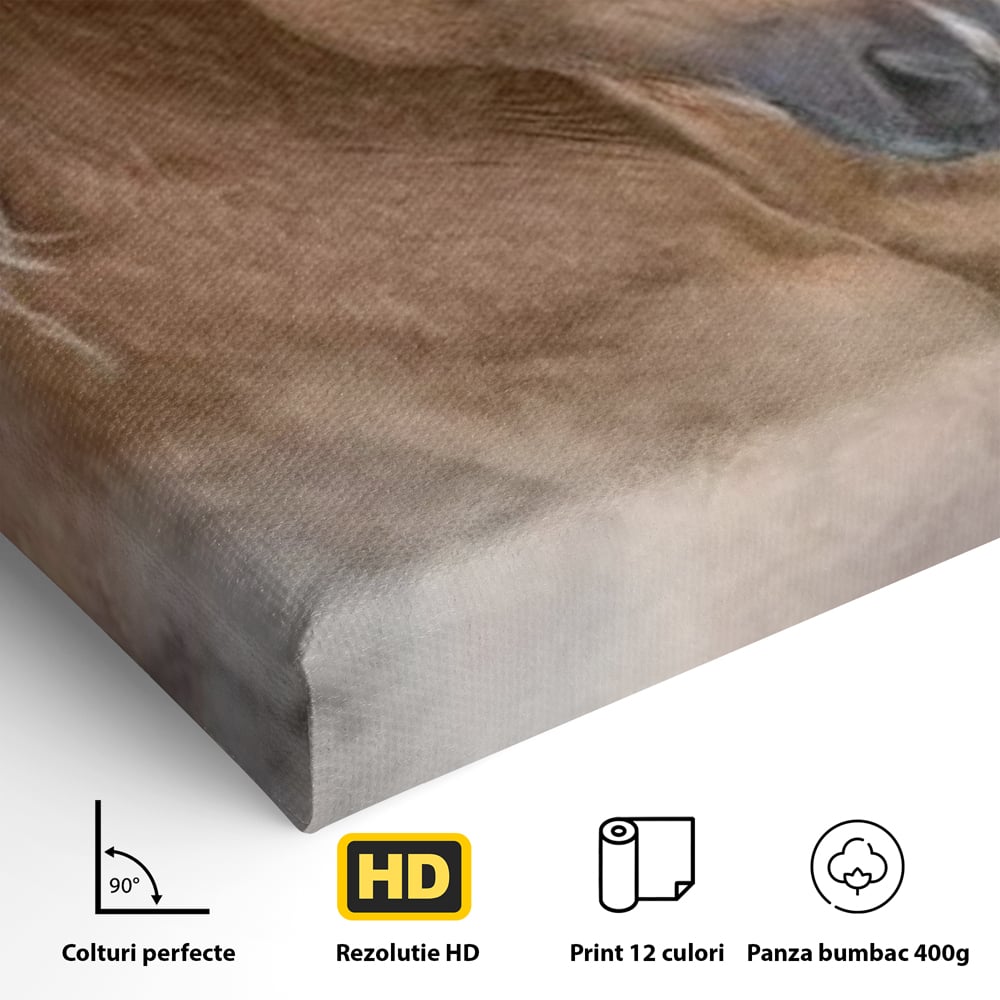 Tablou Canvas Premium, LuxCanva® M1349, Imblanzitorul Vantului, Armasar, Coama, Realist, Furtuna, Viteza, Ceata, Eleganta, Energie, Portret, Galop, Birou, Living, Camera Copil