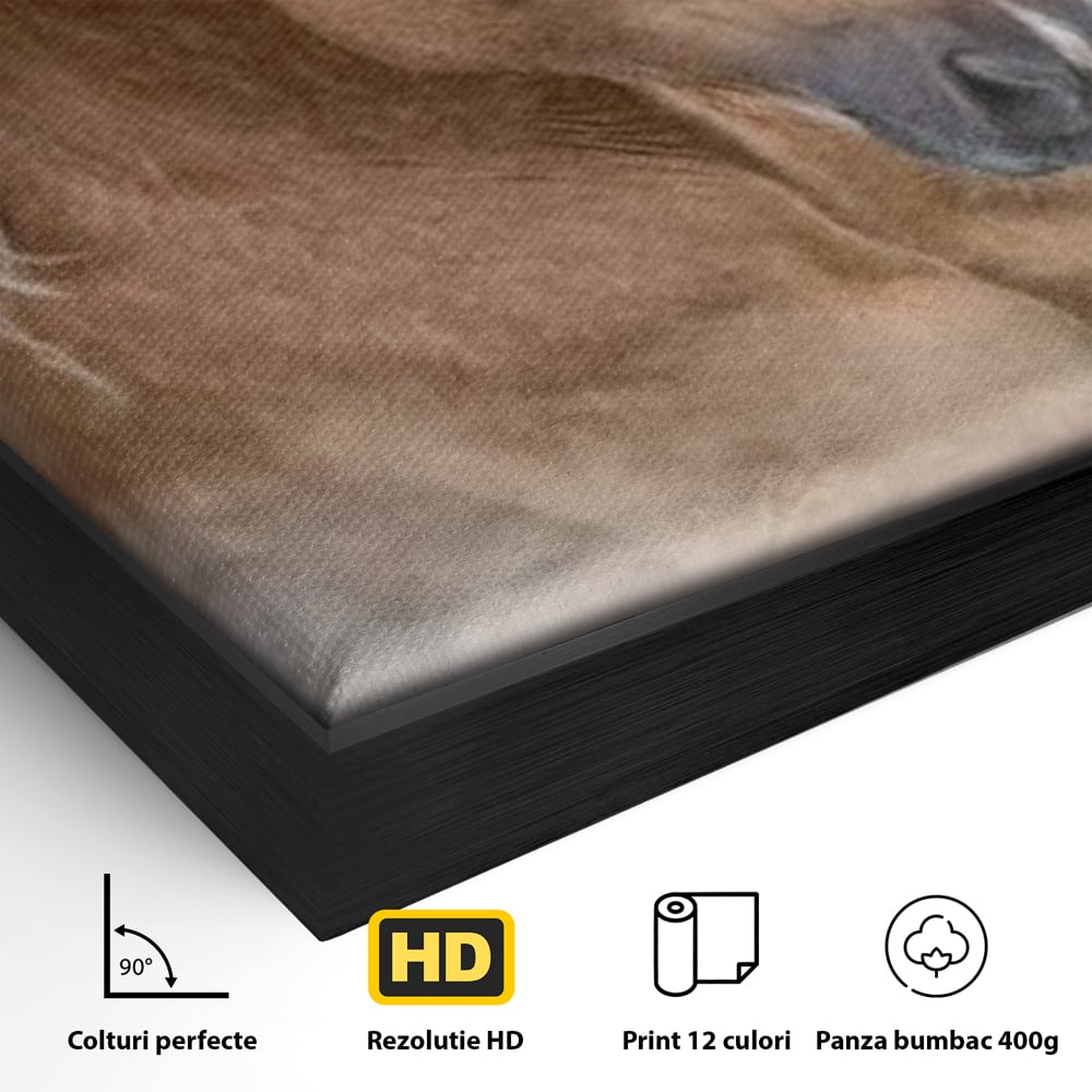Tablou Canvas Premium, LuxCanva® M1349, Imblanzitorul Vantului, Armasar, Coama, Realist, Furtuna, Viteza, Ceata, Eleganta, Energie, Portret, Galop, Birou, Living, Camera Copil