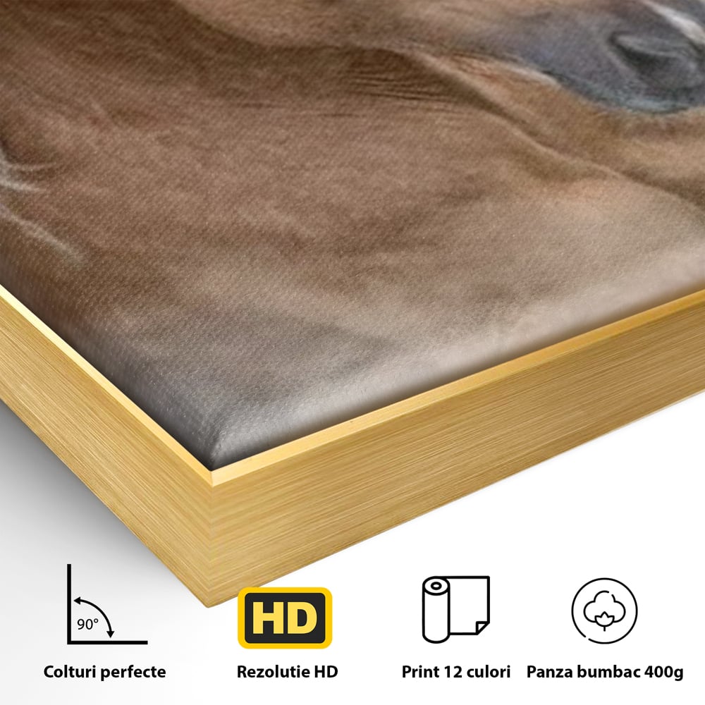 Tablou Canvas Premium, LuxCanva® M1349, Imblanzitorul Vantului, Armasar, Coama, Realist, Furtuna, Viteza, Ceata, Eleganta, Energie, Portret, Galop, Birou, Living, Camera Copil