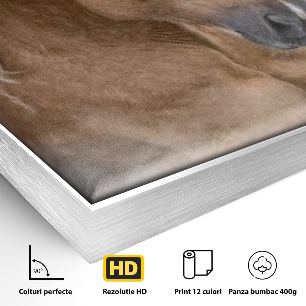 Tablou Canvas Premium, LuxCanva® M1349, Imblanzitorul Vantului, Armasar, Coama, Realist, Furtuna, Viteza, Ceata, Eleganta, Energie, Portret, Galop, Birou, Living, Camera Copil