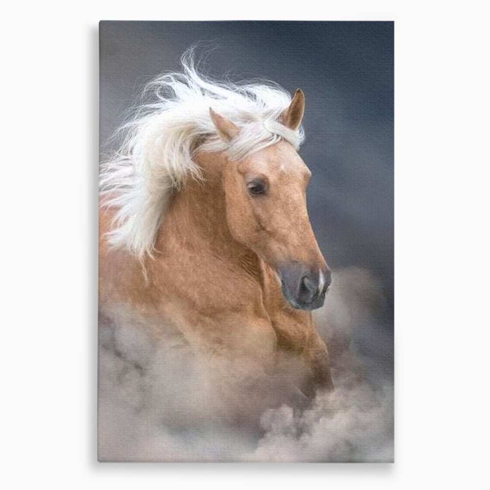Tablou Canvas Premium, LuxCanva® M1349, Imblanzitorul Vantului, Armasar, Coama, Realist, Furtuna, Viteza, Ceata, Eleganta, Energie, Portret, Galop, Birou, Living, Camera Copil