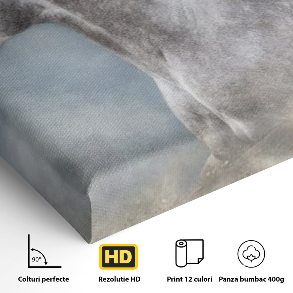 Tablou Canvas Premium, LuxCanva® M1353, Nobletea Norilor, Cal, Animal, Alb, Puritate, Miscare, Adiere, Spirit, Natura, Coama, Realist, Profil, Birou, Living, Camera Copil