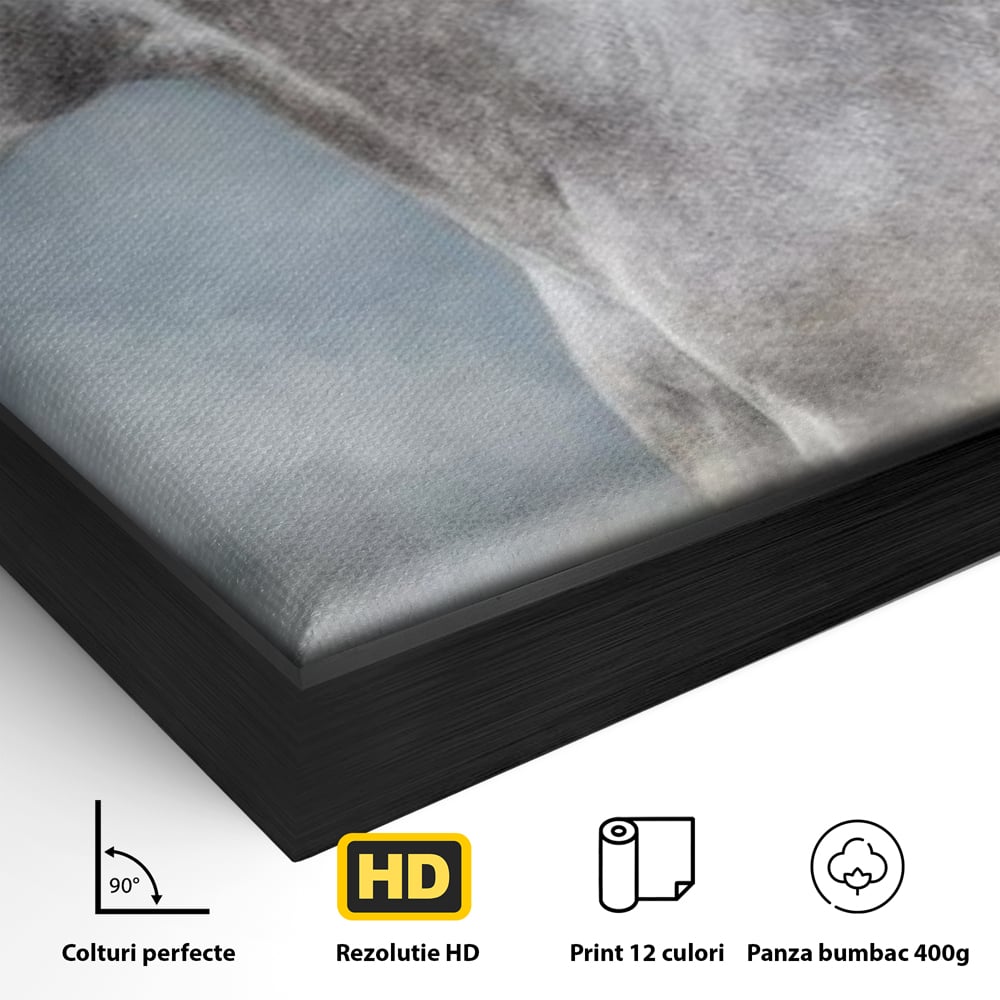 Tablou Canvas Premium, LuxCanva® M1353, Nobletea Norilor, Cal, Animal, Alb, Puritate, Miscare, Adiere, Spirit, Natura, Coama, Realist, Profil, Birou, Living, Camera Copil