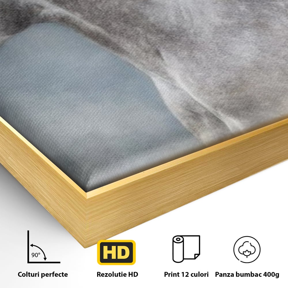 Tablou Canvas Premium, LuxCanva® M1353, Nobletea Norilor, Cal, Animal, Alb, Puritate, Miscare, Adiere, Spirit, Natura, Coama, Realist, Profil, Birou, Living, Camera Copil