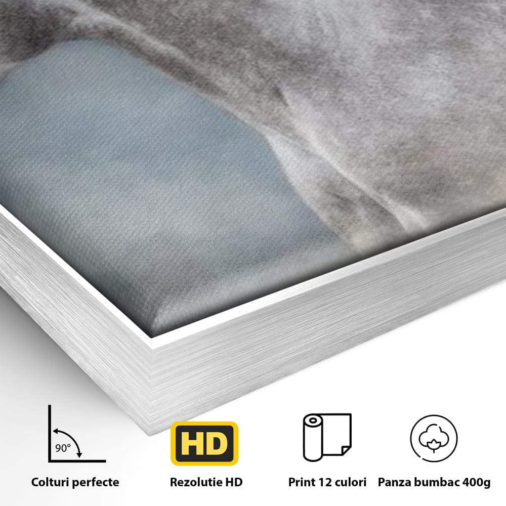 Tablou Canvas Premium, LuxCanva® M1353, Nobletea Norilor, Cal, Animal, Alb, Puritate, Miscare, Adiere, Spirit, Natura, Coama, Realist, Profil, Birou, Living, Camera Copil
