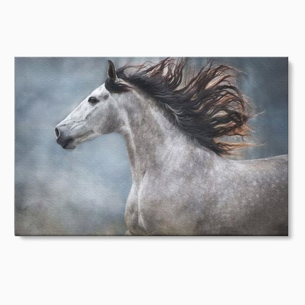 Tablou Canvas Premium, LuxCanva® M1353, Nobletea Norilor, Cal, Animal, Alb, Puritate, Miscare, Adiere, Spirit, Natura, Coama, Realist, Profil, Birou, Living, Camera Copil