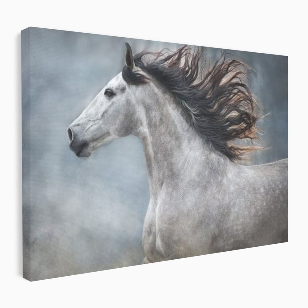 Tablou Canvas Premium, LuxCanva® M1353, Nobletea Norilor, Cal, Animal, Alb, Puritate, Miscare, Adiere, Spirit, Natura, Coama, Realist, Profil, Birou, Living, Camera Copil