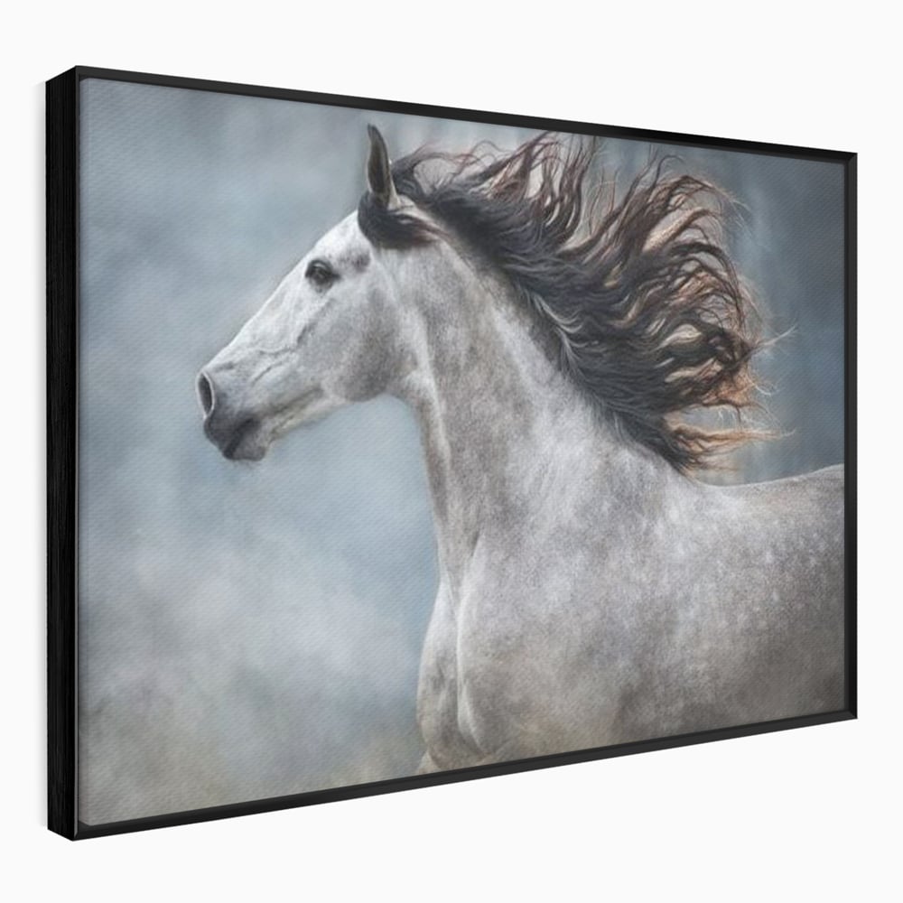 Tablou Canvas Premium, LuxCanva® M1353, Nobletea Norilor, Cal, Animal, Alb, Puritate, Miscare, Adiere, Spirit, Natura, Coama, Realist, Profil, Birou, Living, Camera Copil