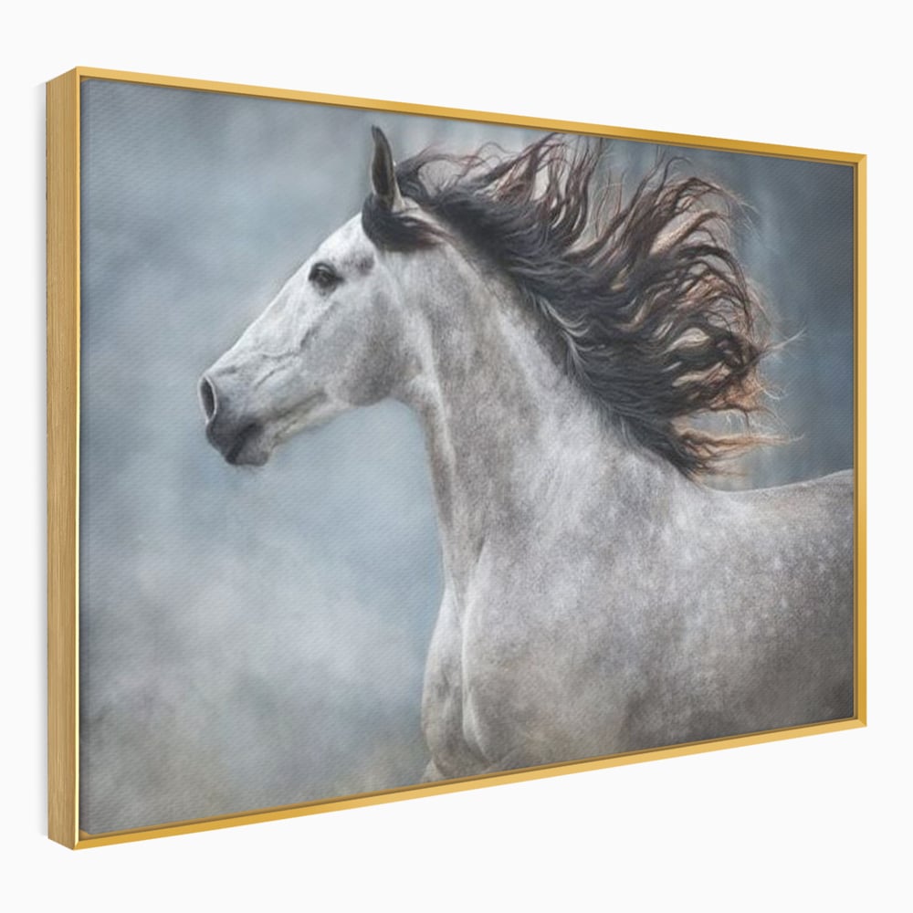 Tablou Canvas Premium, LuxCanva® M1353, Nobletea Norilor, Cal, Animal, Alb, Puritate, Miscare, Adiere, Spirit, Natura, Coama, Realist, Profil, Birou, Living, Camera Copil