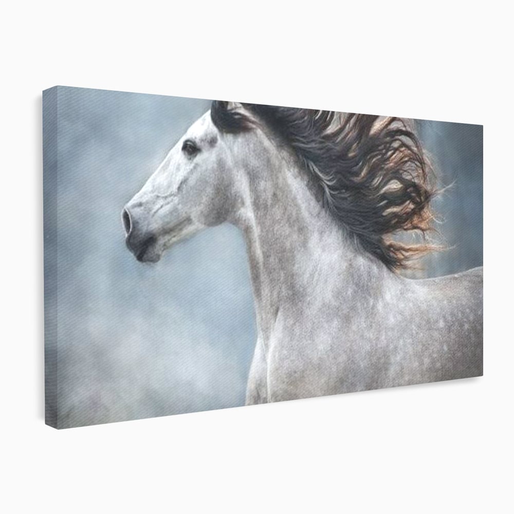 Tablou Canvas Premium, LuxCanva® M1353, Nobletea Norilor, Cal, Animal, Alb, Puritate, Miscare, Adiere, Spirit, Natura, Coama, Realist, Profil, Birou, Living, Camera Copil