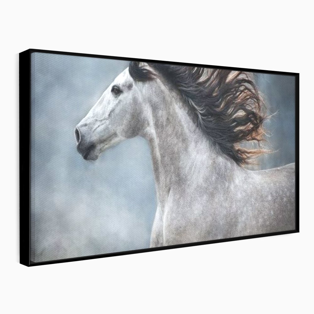 Tablou Canvas Premium, LuxCanva® M1353, Nobletea Norilor, Cal, Animal, Alb, Puritate, Miscare, Adiere, Spirit, Natura, Coama, Realist, Profil, Birou, Living, Camera Copil