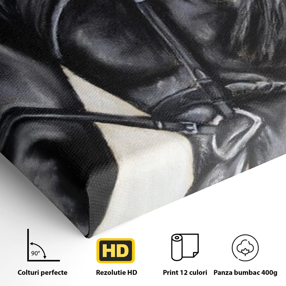 Leinwand Premium Canvas Wandkunst, LuxCanva® M1354, Wohnschatten, Rüstung, Gemälde, Profil, Blick, Schwarz, Majestätisch, Portrait, Abstrakt, Nächtlich, Büro, Wohnzimmer, Kinderzimmer