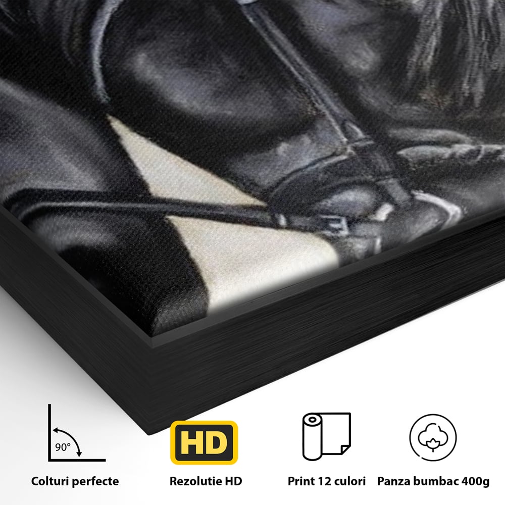 Leinwand Premium Canvas Wandkunst, LuxCanva® M1354, Wohnschatten, Rüstung, Gemälde, Profil, Blick, Schwarz, Majestätisch, Portrait, Abstrakt, Nächtlich, Büro, Wohnzimmer, Kinderzimmer