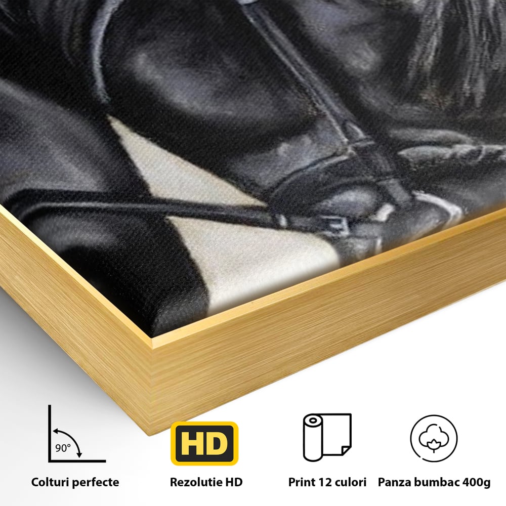 Leinwand Premium Canvas Wandkunst, LuxCanva® M1354, Wohnschatten, Rüstung, Gemälde, Profil, Blick, Schwarz, Majestätisch, Portrait, Abstrakt, Nächtlich, Büro, Wohnzimmer, Kinderzimmer