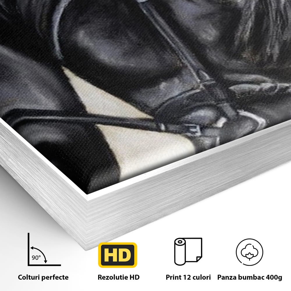 Leinwand Premium Canvas Wandkunst, LuxCanva® M1354, Wohnschatten, Rüstung, Gemälde, Profil, Blick, Schwarz, Majestätisch, Portrait, Abstrakt, Nächtlich, Büro, Wohnzimmer, Kinderzimmer