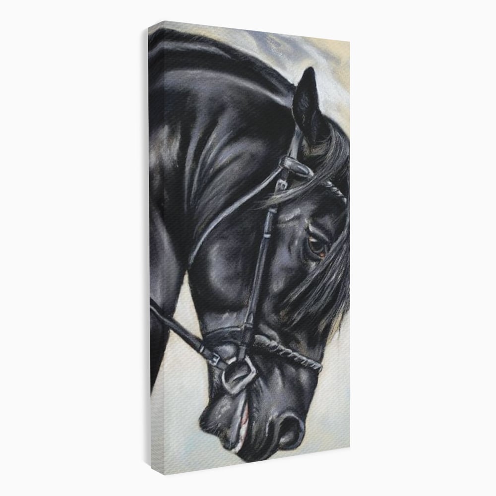 Leinwand Premium Canvas Wandkunst, LuxCanva® M1354, Wohnschatten, Rüstung, Gemälde, Profil, Blick, Schwarz, Majestätisch, Portrait, Abstrakt, Nächtlich, Büro, Wohnzimmer, Kinderzimmer