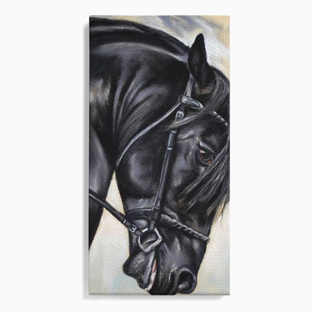 Leinwand Premium Canvas Wandkunst, LuxCanva® M1354, Wohnschatten, Rüstung, Gemälde, Profil, Blick, Schwarz, Majestätisch, Portrait, Abstrakt, Nächtlich, Büro, Wohnzimmer, Kinderzimmer