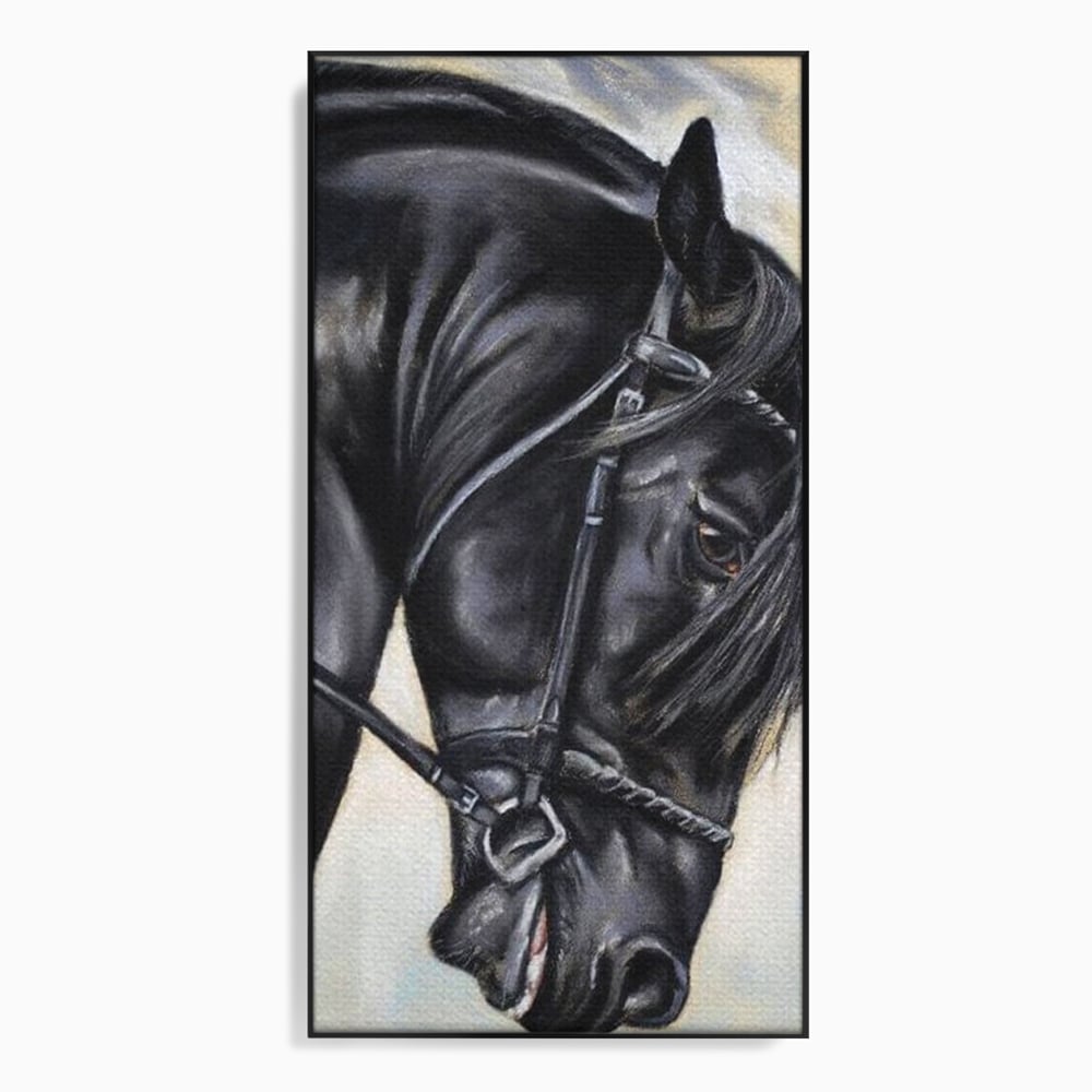 Leinwand Premium Canvas Wandkunst, LuxCanva® M1354, Wohnschatten, Rüstung, Gemälde, Profil, Blick, Schwarz, Majestätisch, Portrait, Abstrakt, Nächtlich, Büro, Wohnzimmer, Kinderzimmer