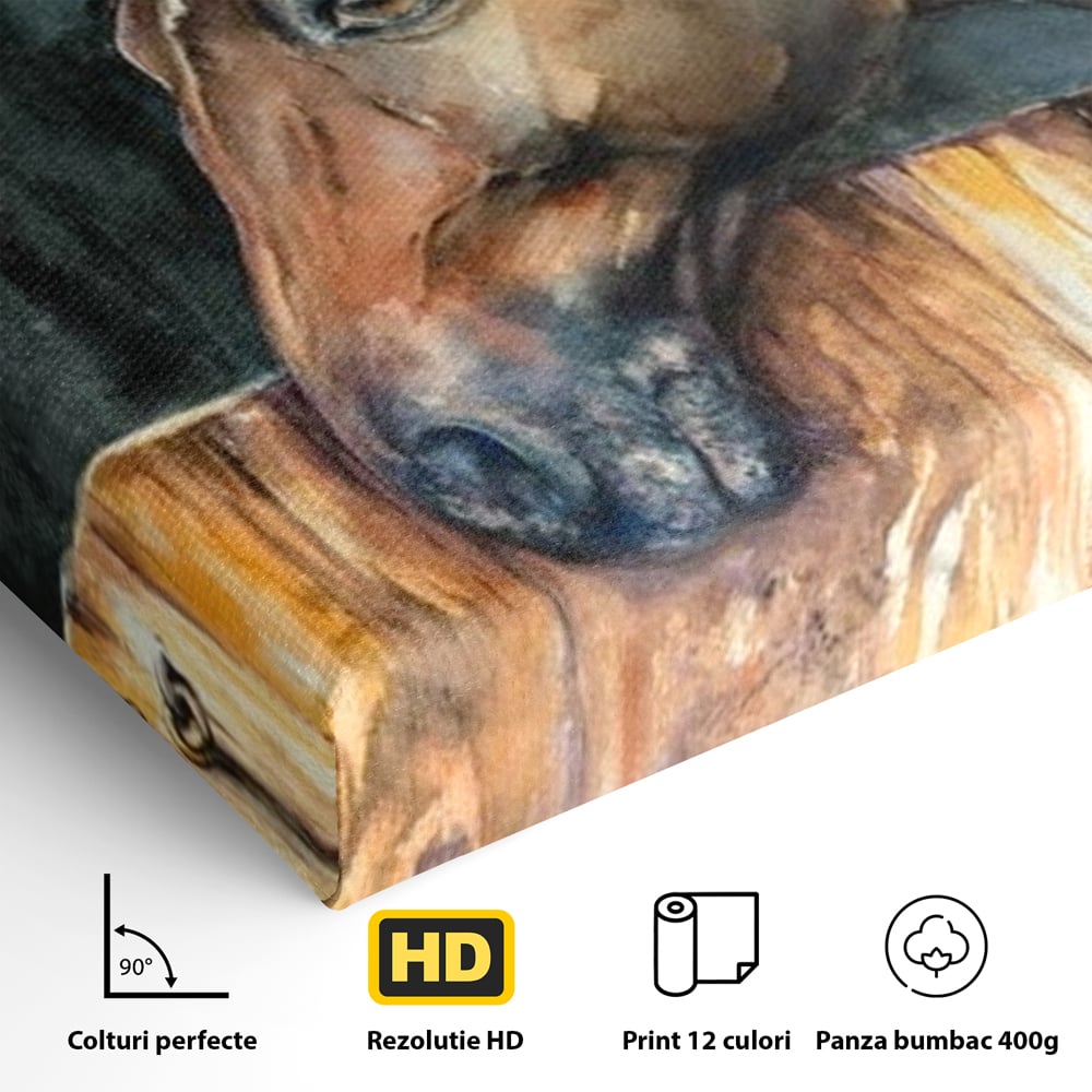 Leinwand Wandkunst Canvas Premium, LuxCanva® M1356, In der Scheune, Scheune, Stall, Rustikal, Ländlich, Holz, Pferd, Frieden, Natur, Frieden, Frieden, Begleiter, Gemälde, Büro, Wohnen, Kinderzimmer