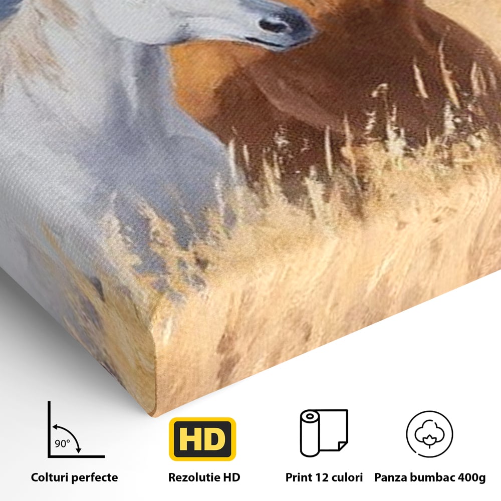 Tablou Canvas Premium, LuxCanva® M1358, Povestea Campiei, Pereche, Cai, Alb, Maro, Peisaj, Natura, Lumina, Stepa, Priveliste, Rural, Armonie, Birou, Living, Camera Copil