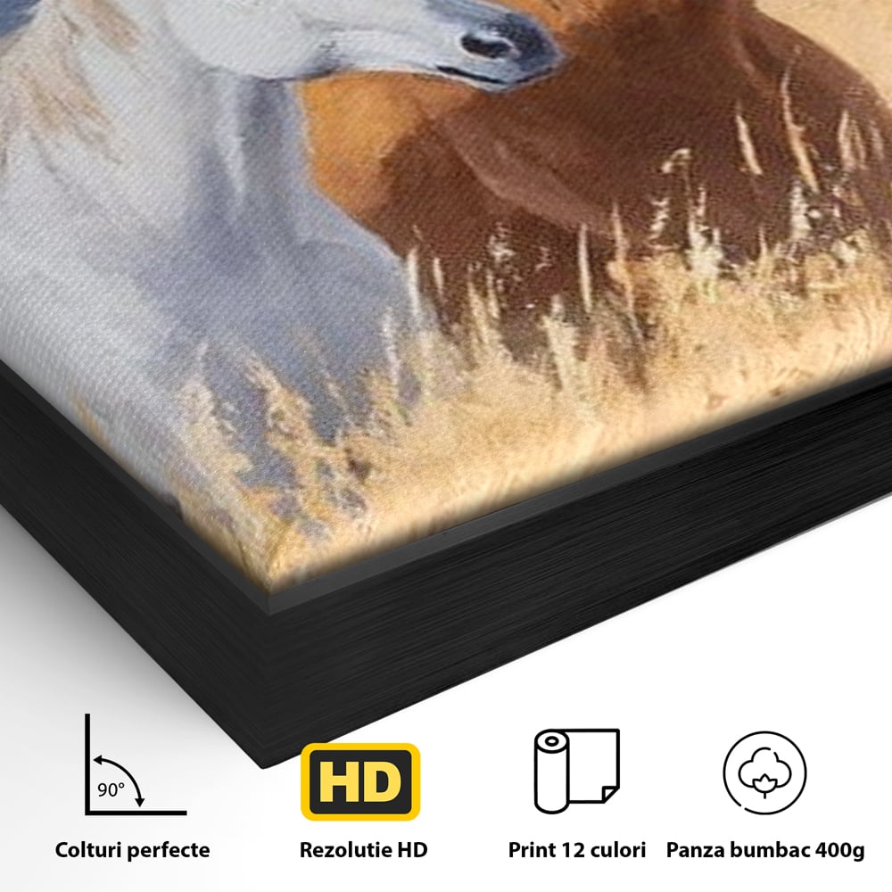 Tablou Canvas Premium, LuxCanva® M1358, Povestea Campiei, Pereche, Cai, Alb, Maro, Peisaj, Natura, Lumina, Stepa, Priveliste, Rural, Armonie, Birou, Living, Camera Copil
