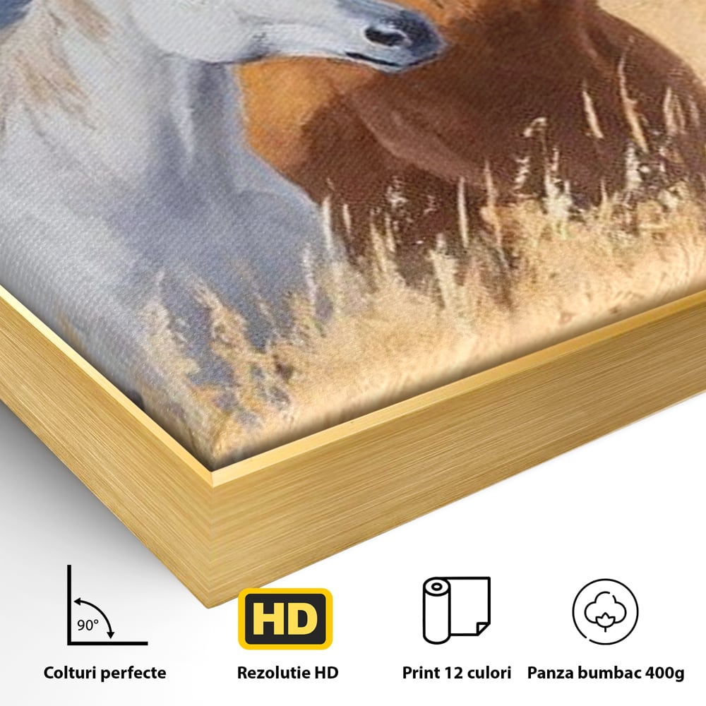 Tablou Canvas Premium, LuxCanva® M1358, Povestea Campiei, Pereche, Cai, Alb, Maro, Peisaj, Natura, Lumina, Stepa, Priveliste, Rural, Armonie, Birou, Living, Camera Copil