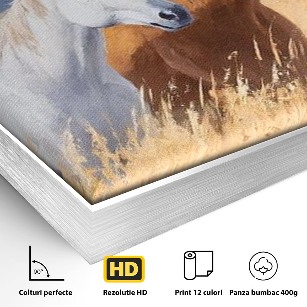 Tablou Canvas Premium, LuxCanva® M1358, Povestea Campiei, Pereche, Cai, Alb, Maro, Peisaj, Natura, Lumina, Stepa, Priveliste, Rural, Armonie, Birou, Living, Camera Copil