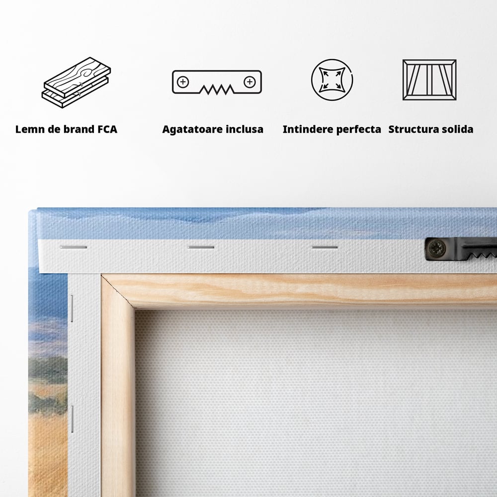 Tablou Canvas Premium, LuxCanva® M1358, Povestea Campiei, Pereche, Cai, Alb, Maro, Peisaj, Natura, Lumina, Stepa, Priveliste, Rural, Armonie, Birou, Living, Camera Copil
