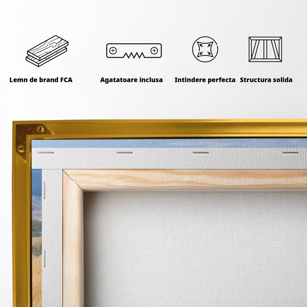 Tablou Canvas Premium, LuxCanva® M1358, Povestea Campiei, Pereche, Cai, Alb, Maro, Peisaj, Natura, Lumina, Stepa, Priveliste, Rural, Armonie, Birou, Living, Camera Copil