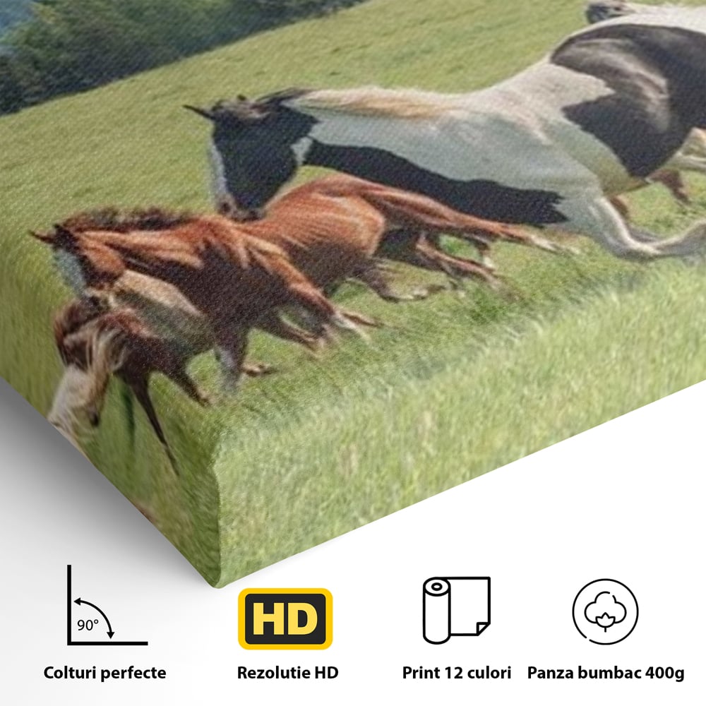 Leinwand Wandkunst Canvas Wall Art Premium, LuxCanva® M1359, Galopp im Sommerwind, Wiese, Natur, Bäume, Natur, Bäume, gesehen, Gras, Wild, Bewegung, Gruppe, Pferde, Geschwindigkeit, Landschaft, Büro, Wohnen, Wohnzimmer, Kinderzimmer
