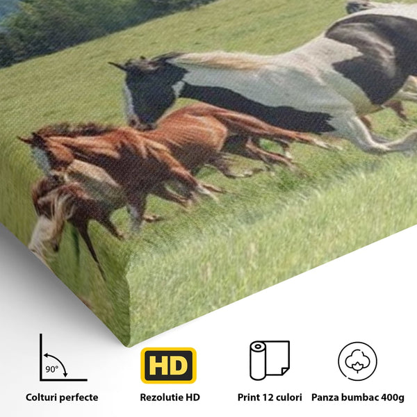Leinwand Wandkunst Canvas Wall Art Premium, LuxCanva® M1359, Galopp im Sommerwind, Wiese, Natur, Bäume, Natur, Bäume, gesehen, Gras, Wild, Bewegung, Gruppe, Pferde, Geschwindigkeit, Landschaft, Büro, Wohnen, Wohnzimmer, Kinderzimmer
