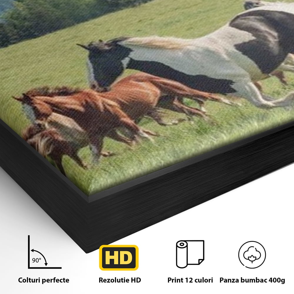 Leinwand Wandkunst Canvas Wall Art Premium, LuxCanva® M1359, Galopp im Sommerwind, Wiese, Natur, Bäume, Natur, Bäume, gesehen, Gras, Wild, Bewegung, Gruppe, Pferde, Geschwindigkeit, Landschaft, Büro, Wohnen, Wohnzimmer, Kinderzimmer