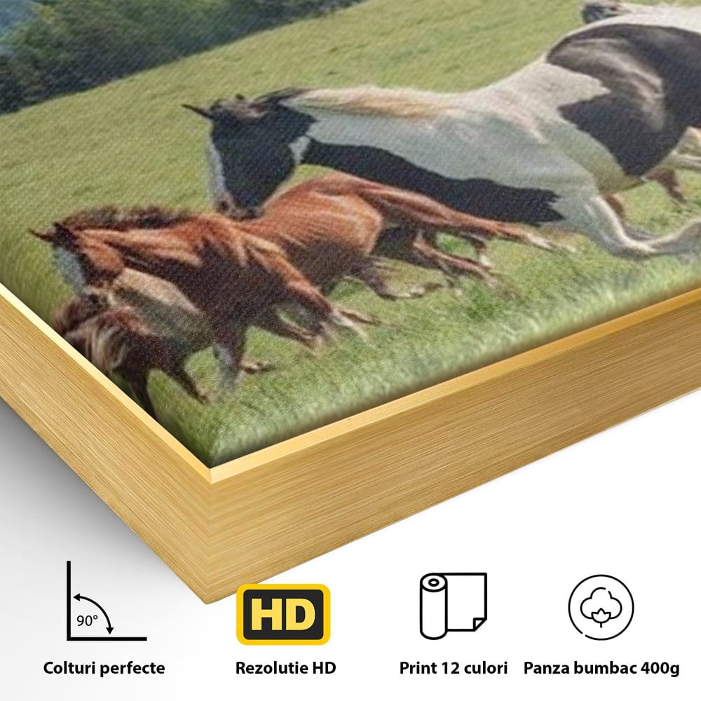 Leinwand Wandkunst Canvas Wall Art Premium, LuxCanva® M1359, Galopp im Sommerwind, Wiese, Natur, Bäume, Natur, Bäume, gesehen, Gras, Wild, Bewegung, Gruppe, Pferde, Geschwindigkeit, Landschaft, Büro, Wohnen, Wohnzimmer, Kinderzimmer