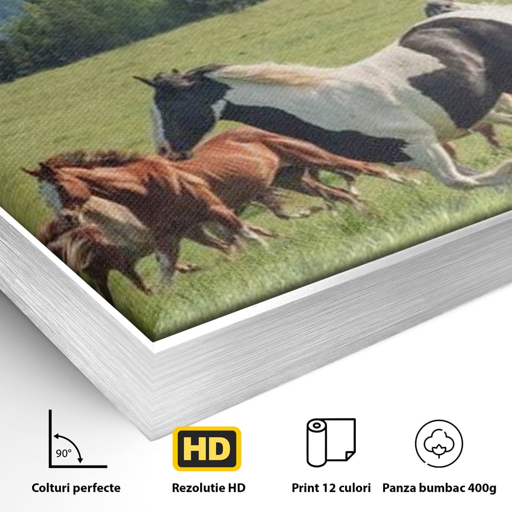 Leinwand Wandkunst Canvas Wall Art Premium, LuxCanva® M1359, Galopp im Sommerwind, Wiese, Natur, Bäume, Natur, Bäume, gesehen, Gras, Wild, Bewegung, Gruppe, Pferde, Geschwindigkeit, Landschaft, Büro, Wohnen, Wohnzimmer, Kinderzimmer