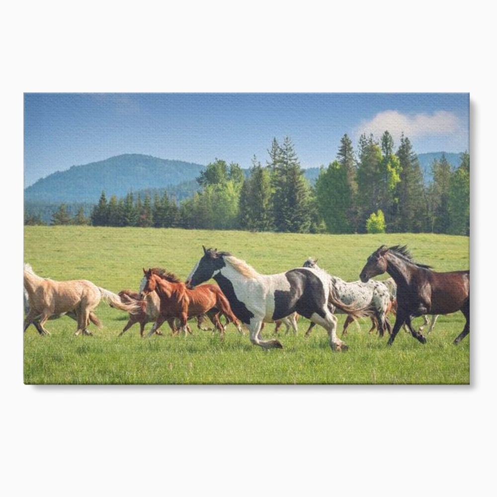 Leinwand Wandkunst Canvas Wall Art Premium, LuxCanva® M1359, Galopp im Sommerwind, Wiese, Natur, Bäume, Natur, Bäume, gesehen, Gras, Wild, Bewegung, Gruppe, Pferde, Geschwindigkeit, Landschaft, Büro, Wohnen, Wohnzimmer, Kinderzimmer