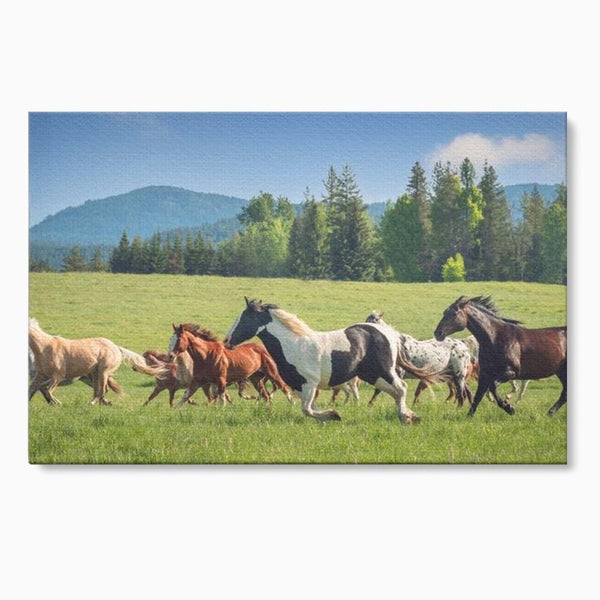 Leinwand Wandkunst Canvas Wall Art Premium, LuxCanva® M1359, Galopp im Sommerwind, Wiese, Natur, Bäume, Natur, Bäume, gesehen, Gras, Wild, Bewegung, Gruppe, Pferde, Geschwindigkeit, Landschaft, Büro, Wohnen, Wohnzimmer, Kinderzimmer