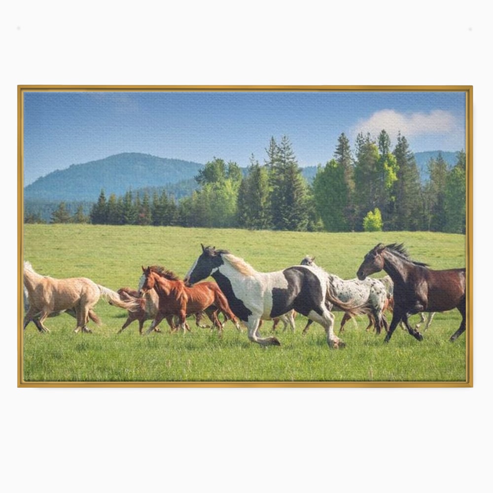 Leinwand Wandkunst Canvas Wall Art Premium, LuxCanva® M1359, Galopp im Sommerwind, Wiese, Natur, Bäume, Natur, Bäume, gesehen, Gras, Wild, Bewegung, Gruppe, Pferde, Geschwindigkeit, Landschaft, Büro, Wohnen, Wohnzimmer, Kinderzimmer