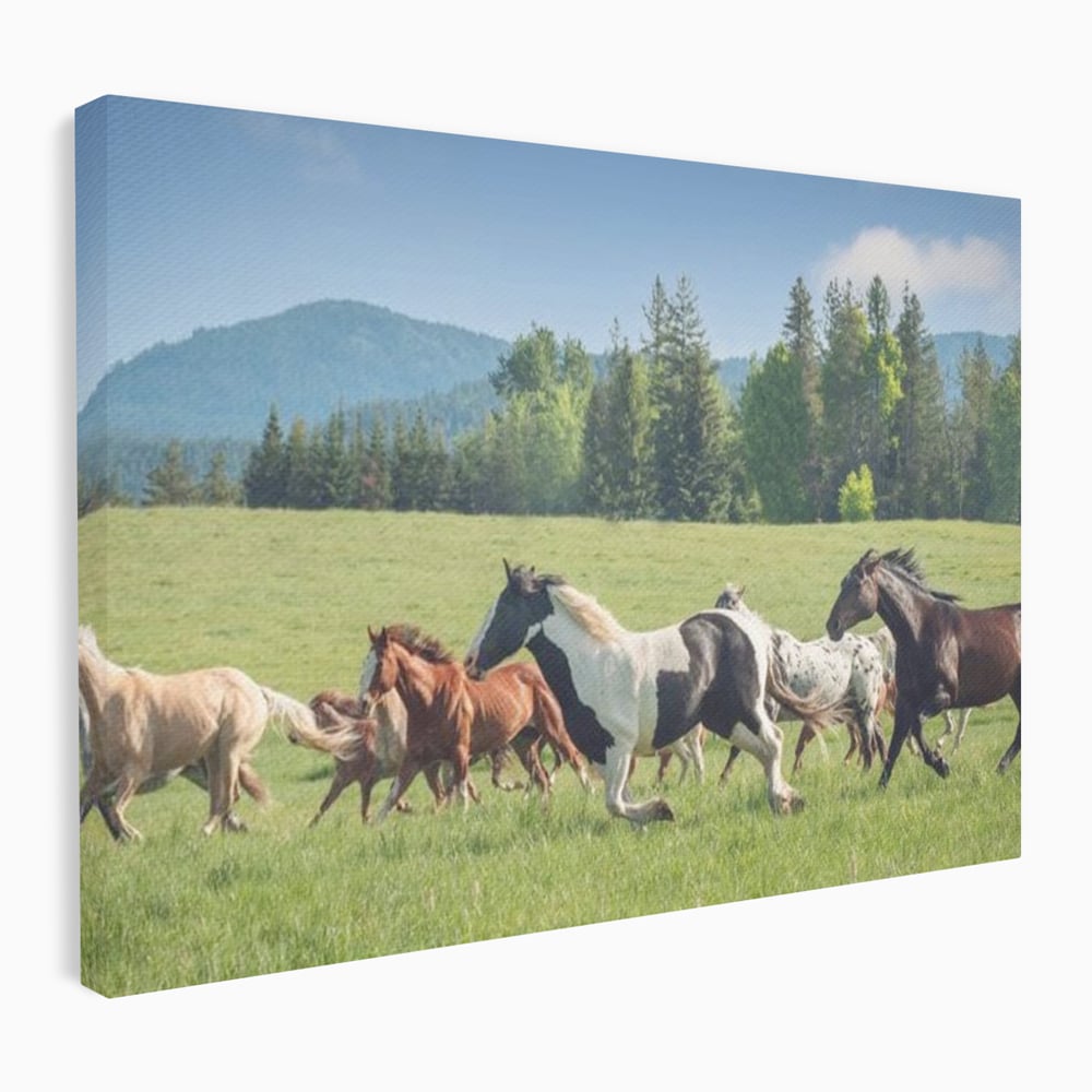 Leinwand Wandkunst Canvas Wall Art Premium, LuxCanva® M1359, Galopp im Sommerwind, Wiese, Natur, Bäume, Natur, Bäume, gesehen, Gras, Wild, Bewegung, Gruppe, Pferde, Geschwindigkeit, Landschaft, Büro, Wohnen, Wohnzimmer, Kinderzimmer