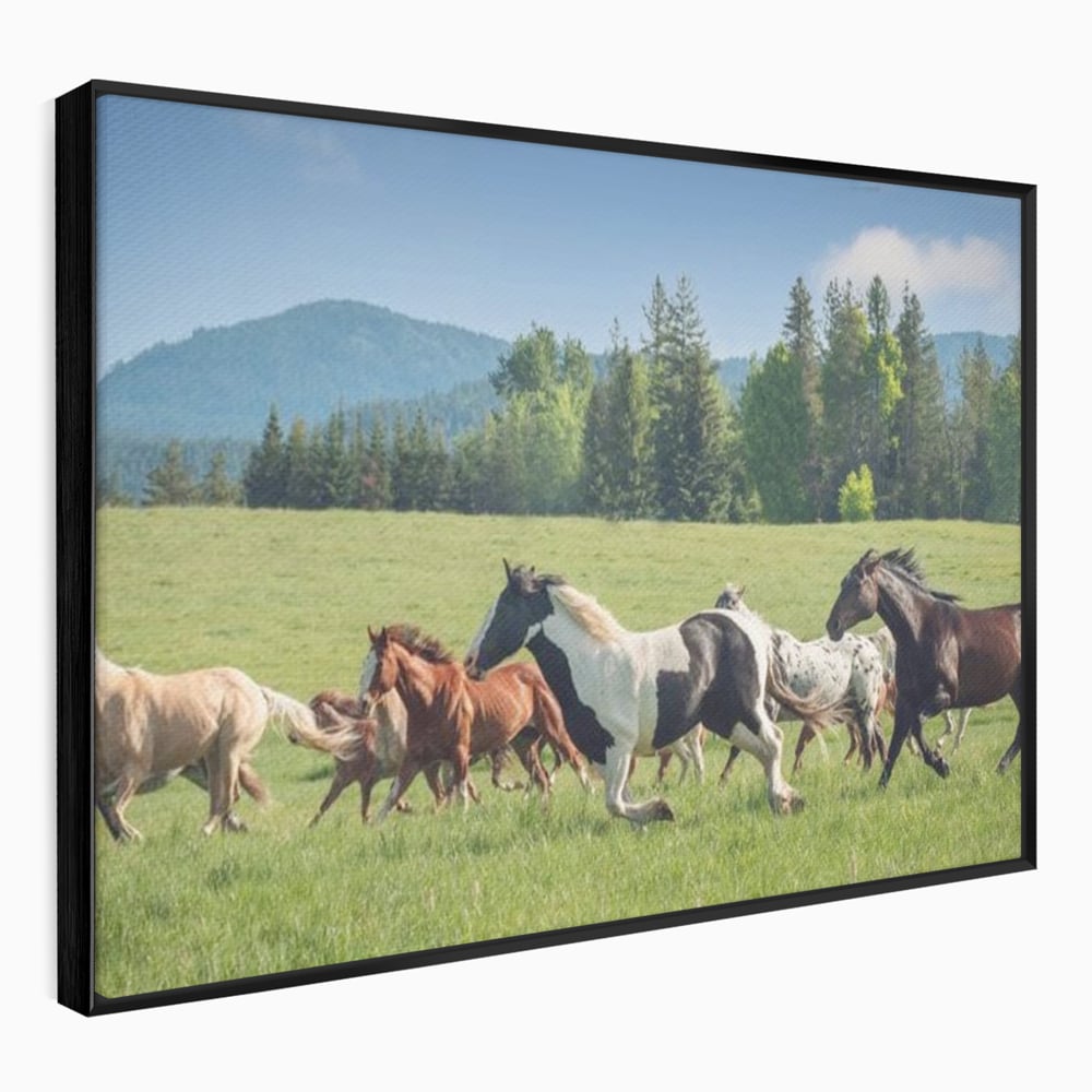 Leinwand Wandkunst Canvas Wall Art Premium, LuxCanva® M1359, Galopp im Sommerwind, Wiese, Natur, Bäume, Natur, Bäume, gesehen, Gras, Wild, Bewegung, Gruppe, Pferde, Geschwindigkeit, Landschaft, Büro, Wohnen, Wohnzimmer, Kinderzimmer