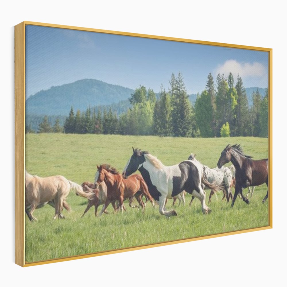 Leinwand Wandkunst Canvas Wall Art Premium, LuxCanva® M1359, Galopp im Sommerwind, Wiese, Natur, Bäume, Natur, Bäume, gesehen, Gras, Wild, Bewegung, Gruppe, Pferde, Geschwindigkeit, Landschaft, Büro, Wohnen, Wohnzimmer, Kinderzimmer