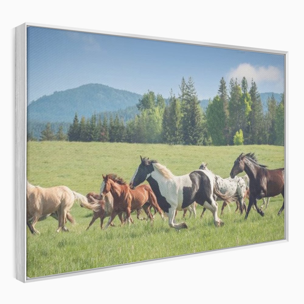 Leinwand Wandkunst Canvas Wall Art Premium, LuxCanva® M1359, Galopp im Sommerwind, Wiese, Natur, Bäume, Natur, Bäume, gesehen, Gras, Wild, Bewegung, Gruppe, Pferde, Geschwindigkeit, Landschaft, Büro, Wohnen, Wohnzimmer, Kinderzimmer
