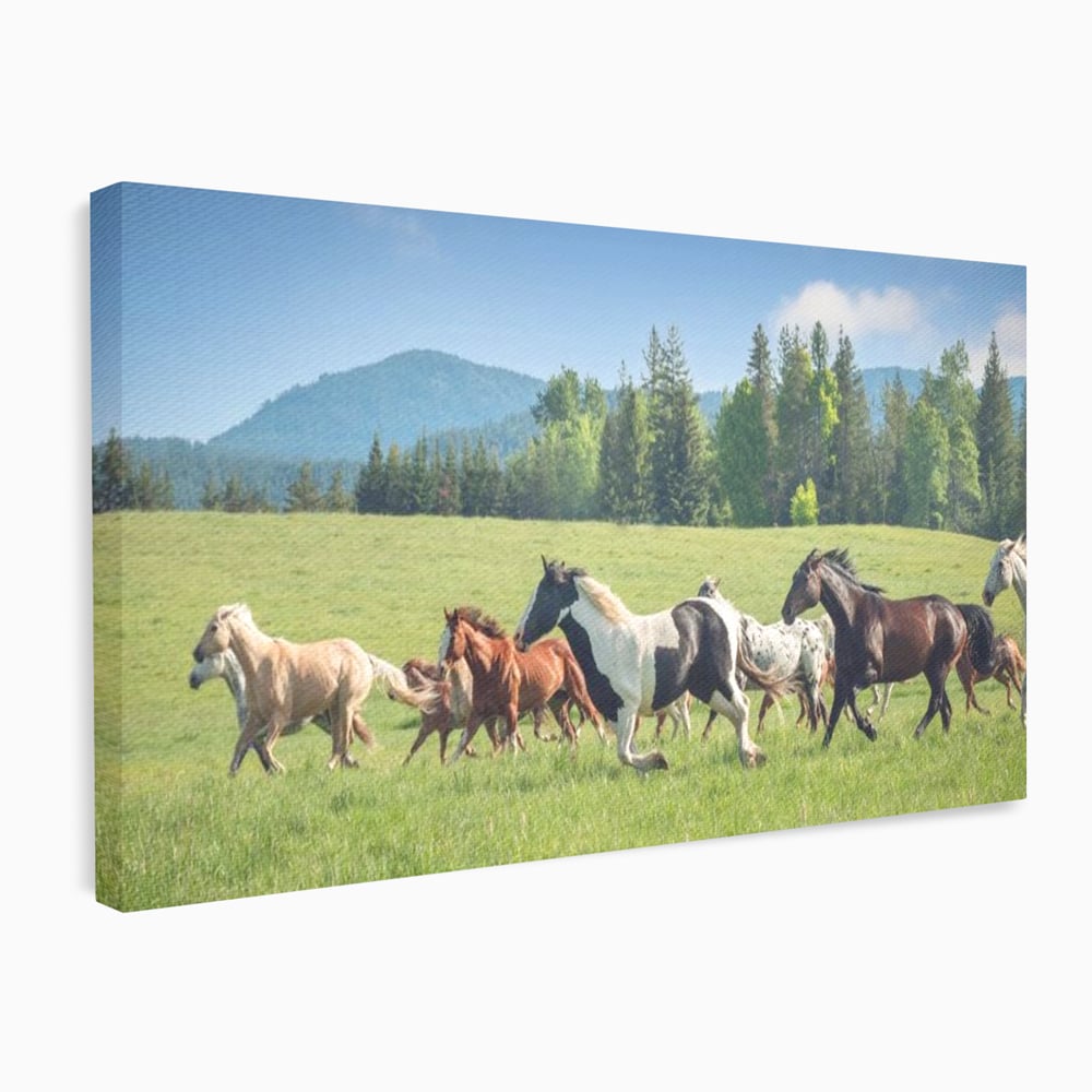 Leinwand Wandkunst Canvas Wall Art Premium, LuxCanva® M1359, Galopp im Sommerwind, Wiese, Natur, Bäume, Natur, Bäume, gesehen, Gras, Wild, Bewegung, Gruppe, Pferde, Geschwindigkeit, Landschaft, Büro, Wohnen, Wohnzimmer, Kinderzimmer