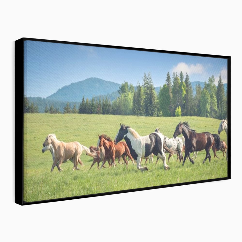 Leinwand Wandkunst Canvas Wall Art Premium, LuxCanva® M1359, Galopp im Sommerwind, Wiese, Natur, Bäume, Natur, Bäume, gesehen, Gras, Wild, Bewegung, Gruppe, Pferde, Geschwindigkeit, Landschaft, Büro, Wohnen, Wohnzimmer, Kinderzimmer