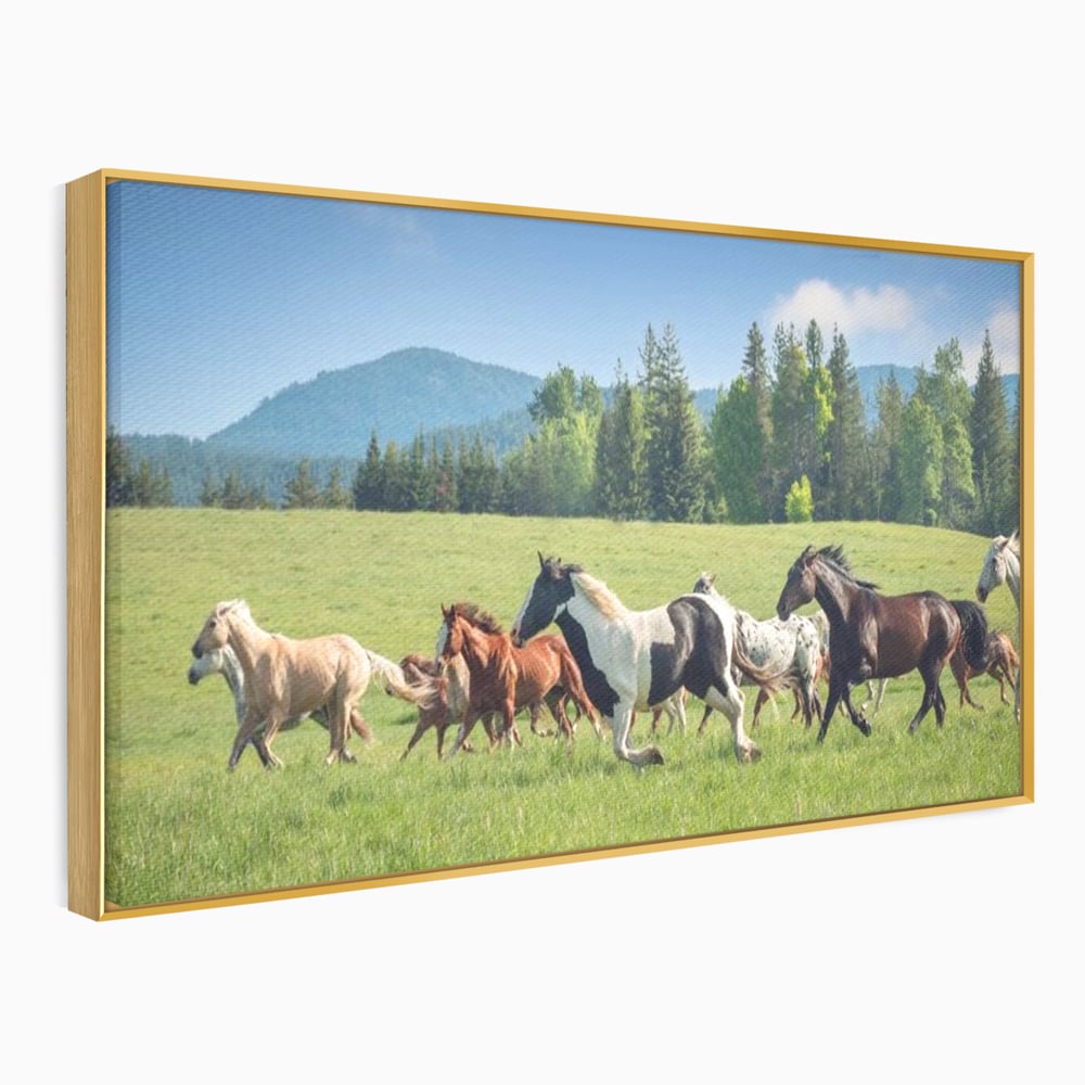 Leinwand Wandkunst Canvas Wall Art Premium, LuxCanva® M1359, Galopp im Sommerwind, Wiese, Natur, Bäume, Natur, Bäume, gesehen, Gras, Wild, Bewegung, Gruppe, Pferde, Geschwindigkeit, Landschaft, Büro, Wohnen, Wohnzimmer, Kinderzimmer
