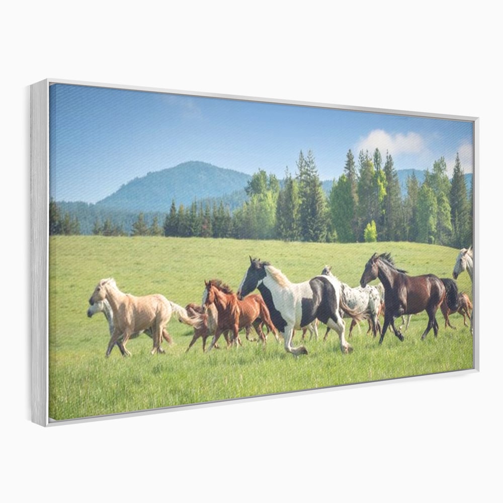 Leinwand Wandkunst Canvas Wall Art Premium, LuxCanva® M1359, Galopp im Sommerwind, Wiese, Natur, Bäume, Natur, Bäume, gesehen, Gras, Wild, Bewegung, Gruppe, Pferde, Geschwindigkeit, Landschaft, Büro, Wohnen, Wohnzimmer, Kinderzimmer