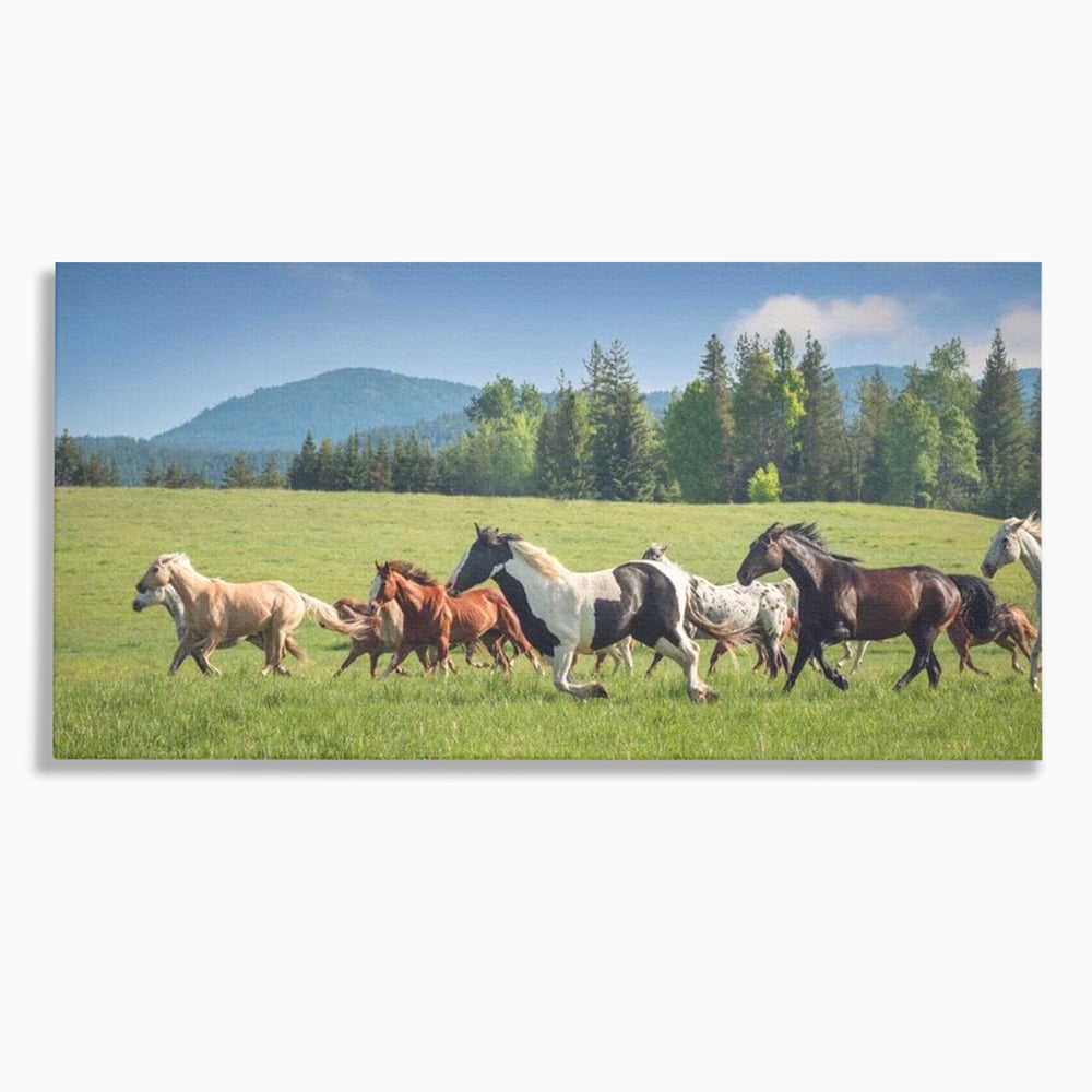 Leinwand Wandkunst Canvas Wall Art Premium, LuxCanva® M1359, Galopp im Sommerwind, Wiese, Natur, Bäume, Natur, Bäume, gesehen, Gras, Wild, Bewegung, Gruppe, Pferde, Geschwindigkeit, Landschaft, Büro, Wohnen, Wohnzimmer, Kinderzimmer