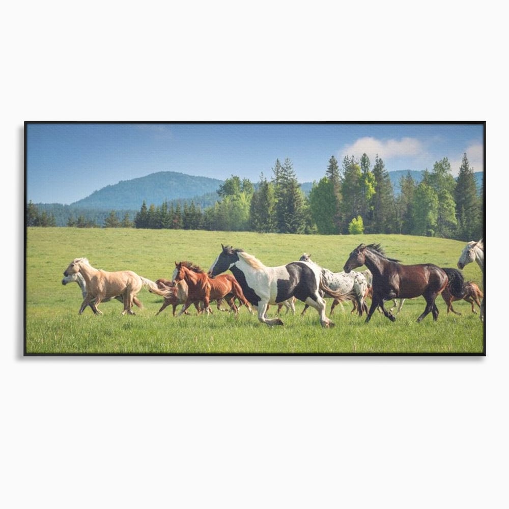 Leinwand Wandkunst Canvas Wall Art Premium, LuxCanva® M1359, Galopp im Sommerwind, Wiese, Natur, Bäume, Natur, Bäume, gesehen, Gras, Wild, Bewegung, Gruppe, Pferde, Geschwindigkeit, Landschaft, Büro, Wohnen, Wohnzimmer, Kinderzimmer