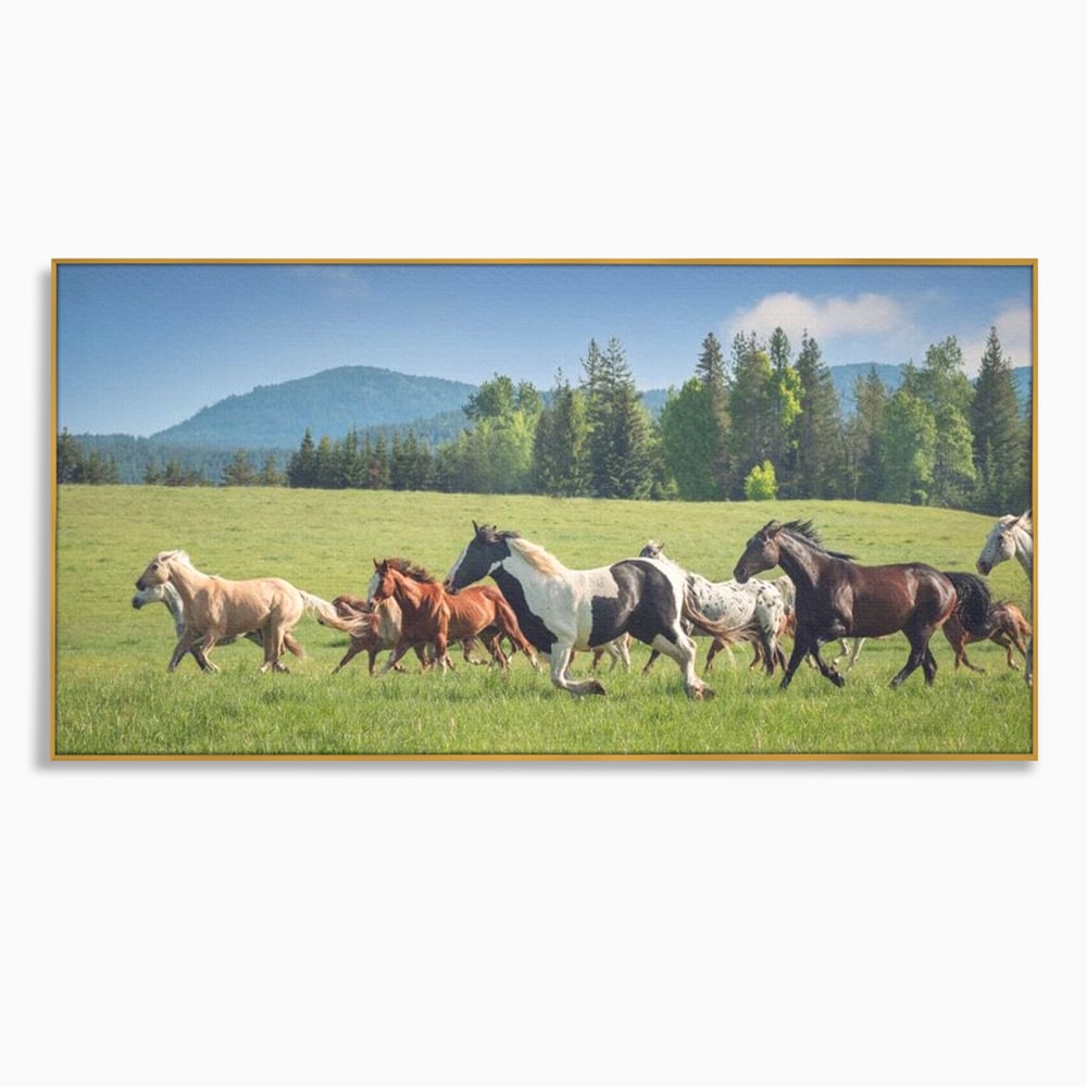 Leinwand Wandkunst Canvas Wall Art Premium, LuxCanva® M1359, Galopp im Sommerwind, Wiese, Natur, Bäume, Natur, Bäume, gesehen, Gras, Wild, Bewegung, Gruppe, Pferde, Geschwindigkeit, Landschaft, Büro, Wohnen, Wohnzimmer, Kinderzimmer