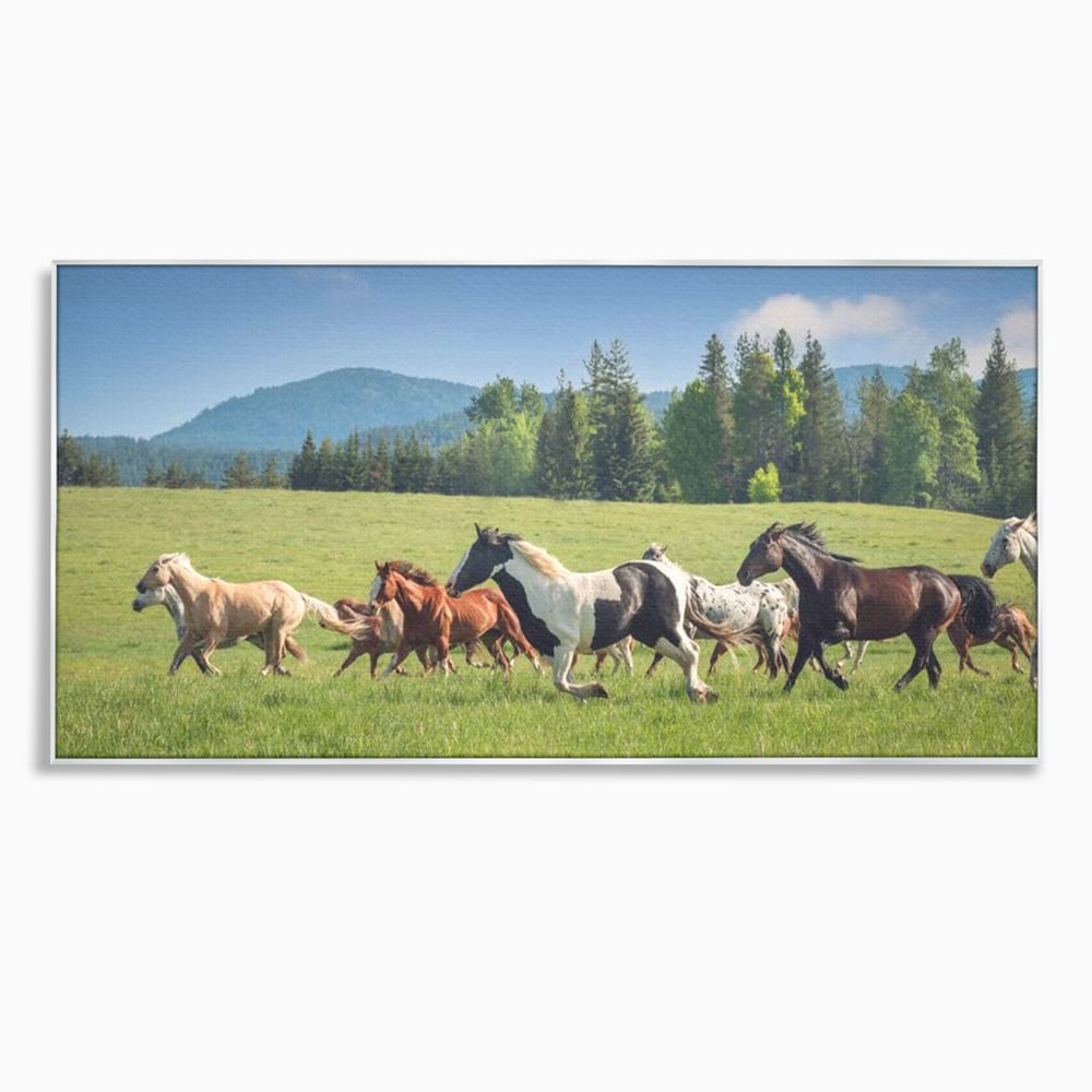Leinwand Wandkunst Canvas Wall Art Premium, LuxCanva® M1359, Galopp im Sommerwind, Wiese, Natur, Bäume, Natur, Bäume, gesehen, Gras, Wild, Bewegung, Gruppe, Pferde, Geschwindigkeit, Landschaft, Büro, Wohnen, Wohnzimmer, Kinderzimmer
